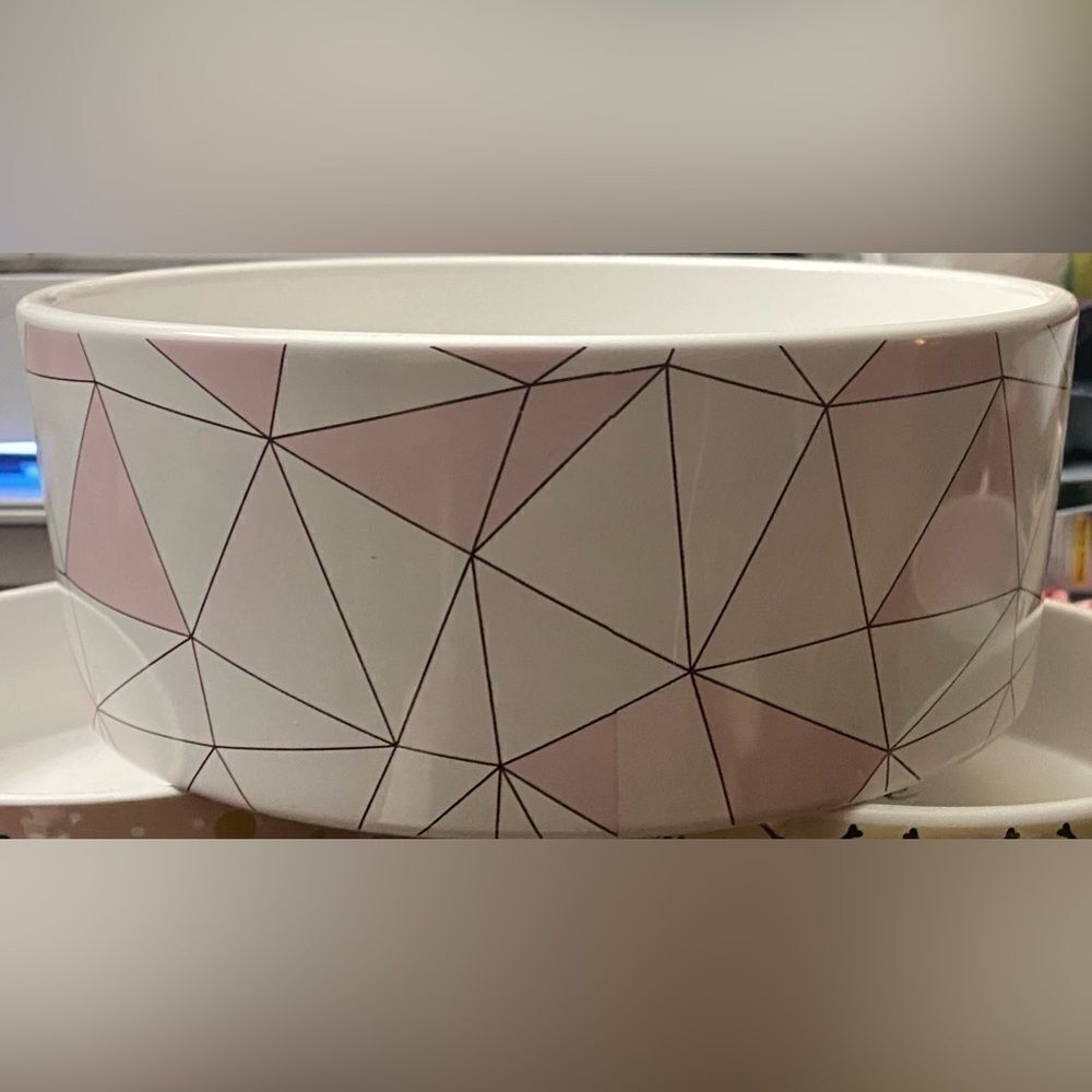 Pet Bowl Set Large Pet Supplis